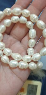 Hello, I need help in identifying pearls