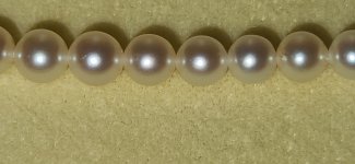 Never clasped Mikimoto Cultured Pearls