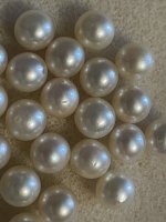 IMG_4514.jpeg