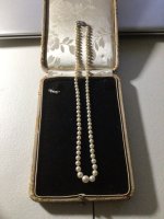 What type of pearls are these