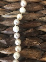 Are those Freshwater or South Sea pearls?