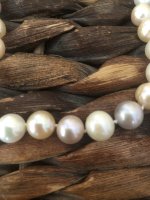 Are those Freshwater or South Sea pearls?