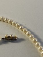 Mikimoto ?