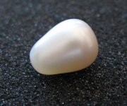 Natural Pinctada mazatlanica Drop shape Pearl (7) [640x480].jpg