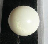 P1190336-CliClasp's Tridacna pearl.jpg