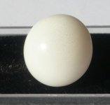 P1190340-CliClasp's Tridacna pearl.jpg