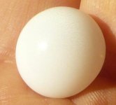 P1190341-CliClasp's Tridacna pearl.jpg