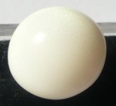 P1190345-CliClasp's Tridacna pearl.jpg