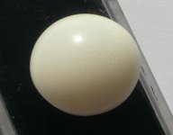 P1190346-CliClasp's Tridacna pearl.jpg