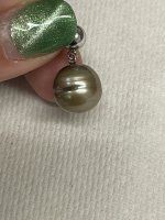 IMG_8810.jpeg