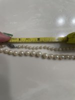 IMG_8842.jpeg