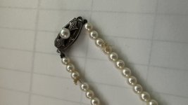 IMG_5620.JPEG