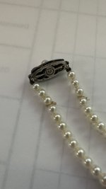 IMG_5621.JPEG