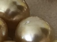 F20BA8AB-74F8-461D-9BB8-9A0B555ACB05.jpeg