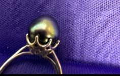 IMG_5148.jpeg