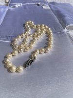 IMG_0964.jpeg