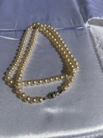 IMG_0967.jpeg
