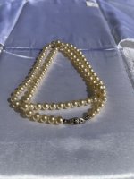 IMG_0966.jpeg