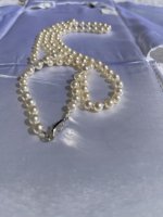 IMG_0962.jpeg