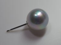 Rainbow-band-wssp-01.JPG