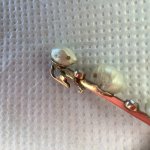 IMG_1901.jpeg