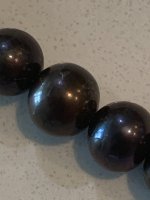 IMG_1337(1).jpeg