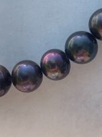 IMG_1331(1).jpeg