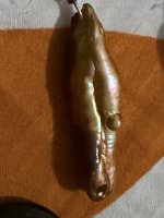IMG_1475.jpeg