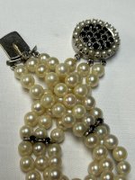 IMG_9260.jpeg