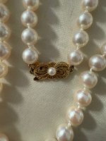 IMG_1111.jpeg
