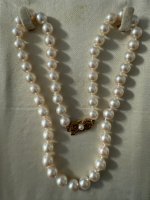 IMG_1109.jpeg