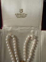 IMG_1110.jpeg