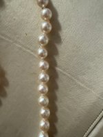 IMG_1115.jpeg