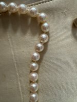 IMG_1114.jpeg