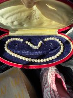 IMG_0391.jpeg