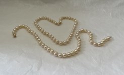 IMG_4729.jpeg