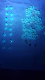 20250515_214503.jpg
