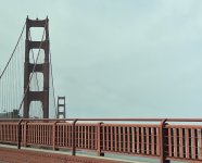 IMG_4738.jpeg