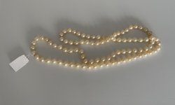 IMG_5035.jpeg
