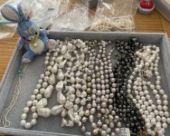 IMG_4956.jpeg