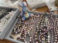IMG_4955.jpeg