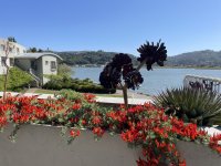 IMG_4942.jpeg