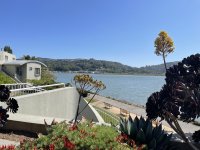 IMG_4940.jpeg
