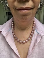 IMG_2196.jpeg