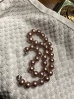 IMG_2106.jpeg