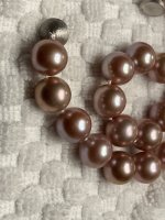 IMG_2107.jpeg