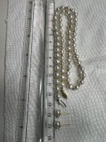 IMG_9643.jpeg