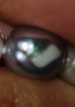 IMG_20250530_094235.jpg