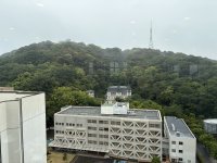 IMG_4641.jpeg