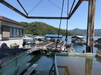 IMG_4683.jpeg